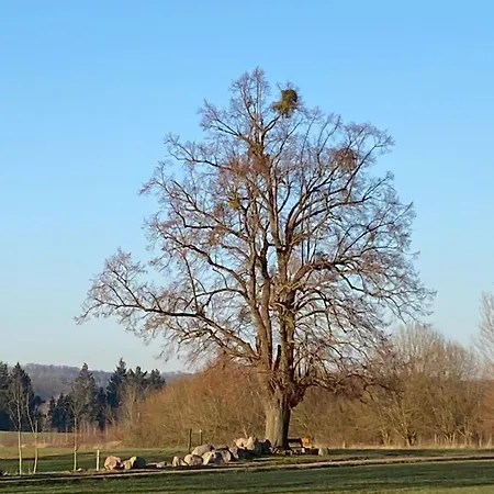 Kleine Auszeit *